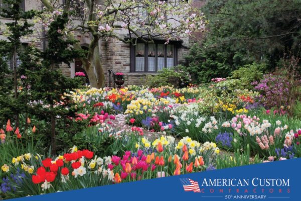 Spring blooms in full color, tulips, daffodils', and Hyacinth.