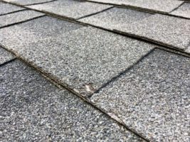 Roofing Roof Shingles Damaged