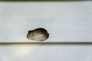 Roofing Siding Storm Damage Repair Companies