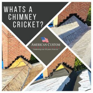 A collage of pictures all related to a roof cricket.