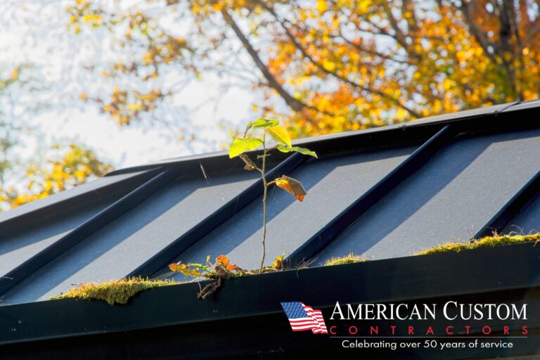 This photo of a standing seam black metal roof. The photo was taken on a bright autumn day. There are yellow and orange leaves on the tree behind the roof. And there is moss and a small tree growing out of the gutter.