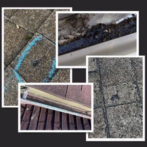 A 4-picture collage of various granular loss examples. 2 images are asphalt shingles where there is a bare spot indicated. This loss was caused by hail. The other 2 images are of granule accumulation in the gutters, which can lead to clogging causing water drainage issues.