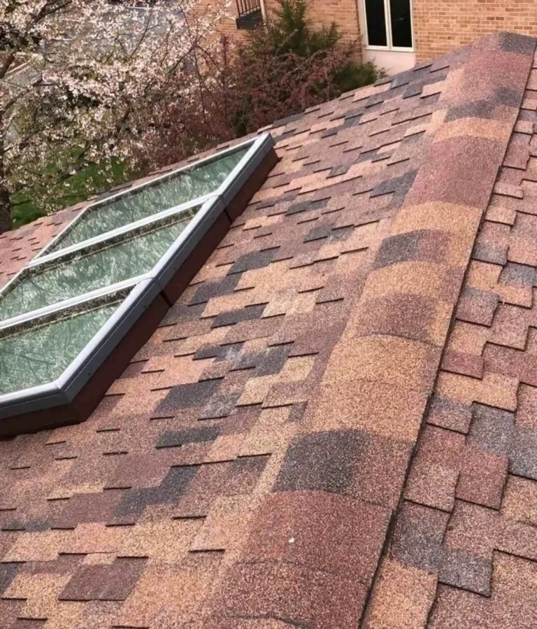 red asphalt roof