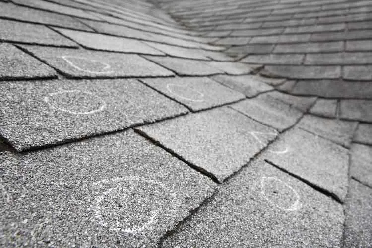 Roof Maintenance