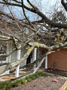 Large fallen tree causing severe storm damage to residential roof and porch structure